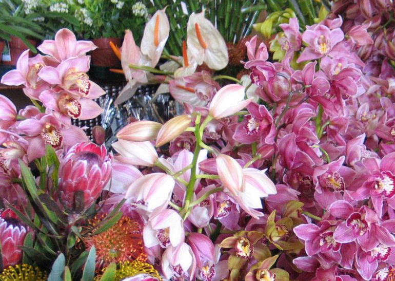 El Día del Florista se conmemora el 9 de abril El Día del Florista se conmemora el 9 de abril
