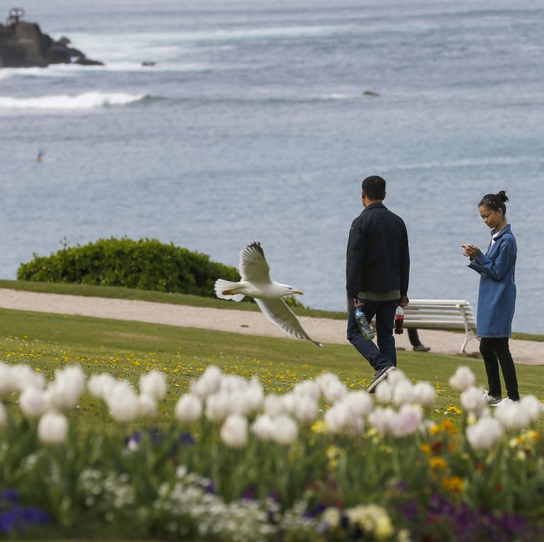Dos personas pasean por los jardines del Palacio de Miramar. Dos personas pasean por los jardines del Palacio de Miramar.