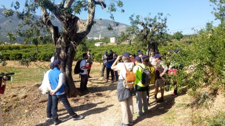 El grupo atendiendo a las explicaciones del guía. El grupo atendiendo a las explicaciones del guía.