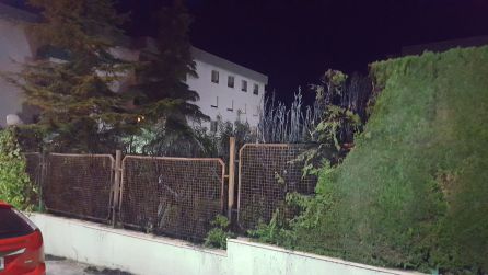 Estado en el que quedaron los setos incendiados en el residencial de la calle Alberca de Jaén. Estado en el que quedaron los setos incendiados en el residencial de la calle Alberca de Jaén.