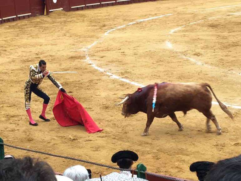 Imagen de la plaza de toros de Jerez Imagen de la plaza de toros de Jerez