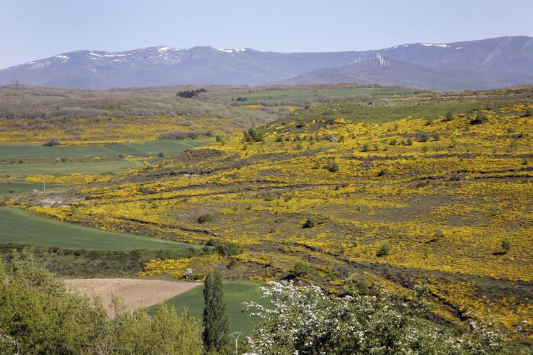 Paraje de Las Loras Paraje de Las Loras