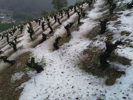 Los vecinos de Corullón han difundido instantáneas de la granizada Los vecinos de Corullón han difundido instantáneas de la granizada
