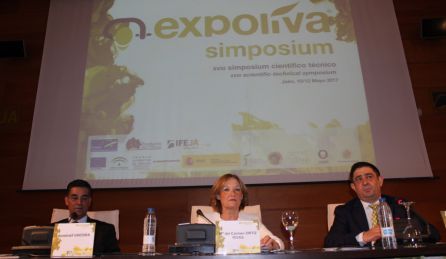 La consejera de Agricultura, Carmen Ortiz, durante el simposium de Expoliva. La consejera de Agricultura, Carmen Ortiz, durante el simposium de Expoliva.