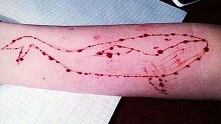 Educación pide "prudencia" ante los posibles dos casos de 'Ballena Azul' en las Islas Educación pide "prudencia" ante los posibles dos casos de 'Ballena Azul' en las Islas