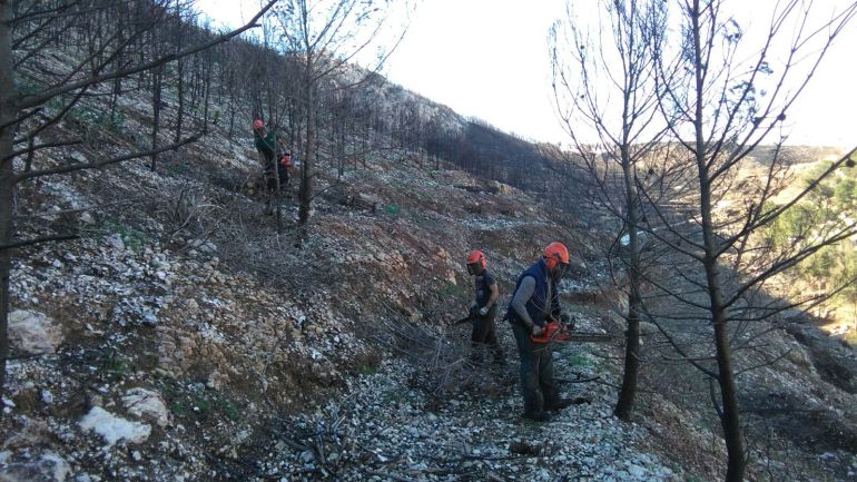 Trabajos en la Granadella, tras el incendio de septiembre de 2016. Trabajos en la Granadella, tras el incendio de septiembre de 2016.
