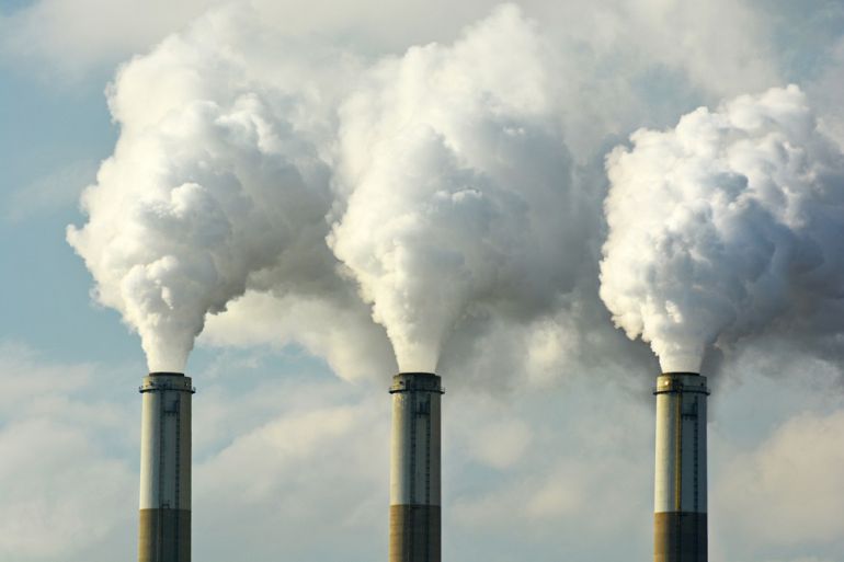 Greenpeace sostiene que "hay alternativas de desarrollo sostenible" Greenpeace sostiene que "hay alternativas de desarrollo sostenible"
