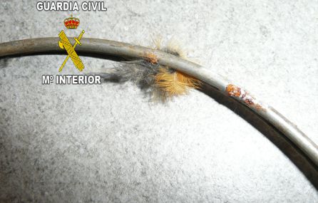 Lazo acerado encontrado por la Guardia Civil. Lazo acerado encontrado por la Guardia Civil.
