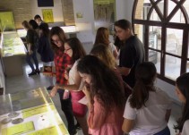 Nueva galería numismática en el Museo Arqueológico de Andújar