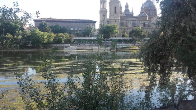 Así baja el río Ebro estos días por Zaragoza a causa de la sequía Así baja el río Ebro estos días por Zaragoza a causa de la sequía