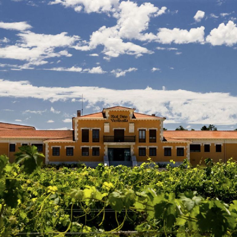 Viñedos y fachada de la bodega Viñedos y fachada de la bodega