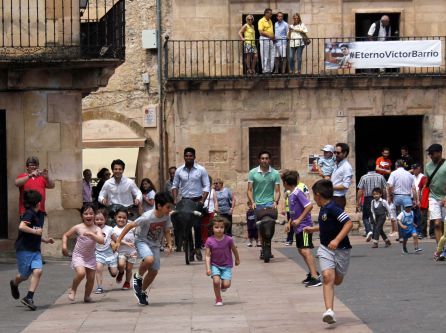 Numerosos niños disfrutaron de una jornada de toreo de salón Numerosos niños disfrutaron de una jornada de toreo de salón