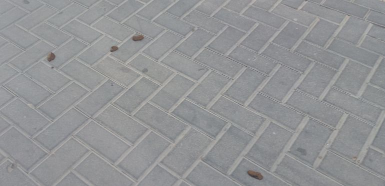 Excrementos en la vía pública sin recoger en Dénia. Excrementos en la vía pública sin recoger en Dénia.