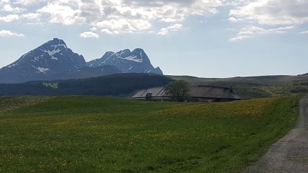 El museo vikingo, lo más cerca que he podido estar El museo vikingo, lo más cerca que he podido estar