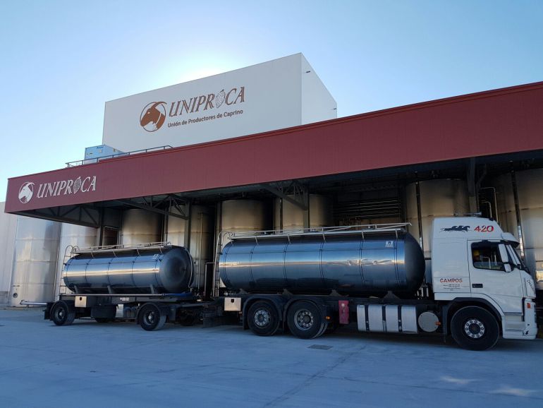 Uniproca a punto de comenzar a exportar leche de cabra Uniproca a punto de comenzar a exportar leche de cabra