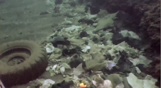 La desembocadura del Segura, convertida en "mar de plástico" La desembocadura del Segura, convertida en "mar de plástico"