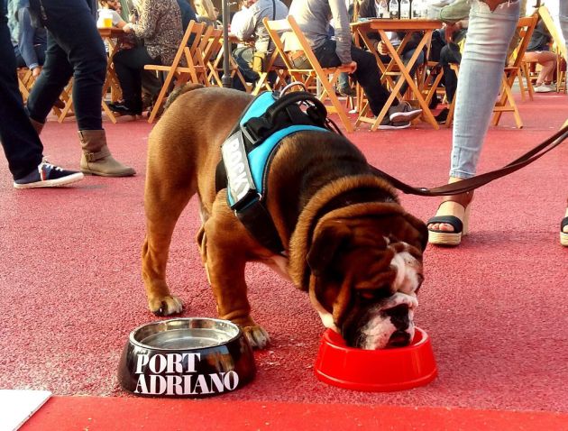 Llega la VIII edición del Street Food Festival a Port Adriano Llega la VIII edición del Street Food Festival a Port Adriano