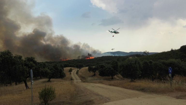 Labores del extinción del incendio en el campo de tiro de Cerro Muriano Labores del extinción del incendio en el campo de tiro de Cerro Muriano