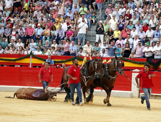 "Trinquete", núm. 26, de Salvador Domecq recibió la vuelta al ruedo en el arrastre después de la faena de dos orejas que le hizo El Fandi "Trinquete", núm. 26, de Salvador Domecq recibió la vuelta al ruedo en el arrastre después de la faena de dos orejas que le hizo El Fandi