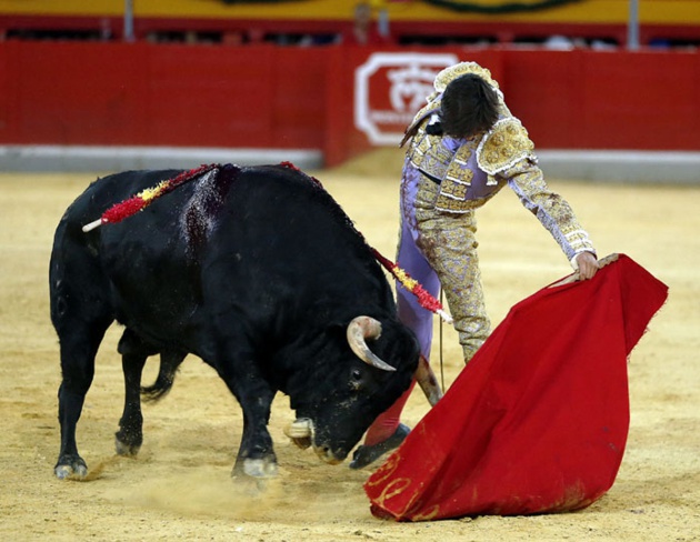 Roca Rey cuajó al tercero de la tarde e hizo faena al sexto, que hubiera merecido las dos orejas de no haber fallado con el acero Roca Rey cuajó al tercero de la tarde e hizo faena al sexto, que hubiera merecido las dos orejas de no haber fallado con el acero