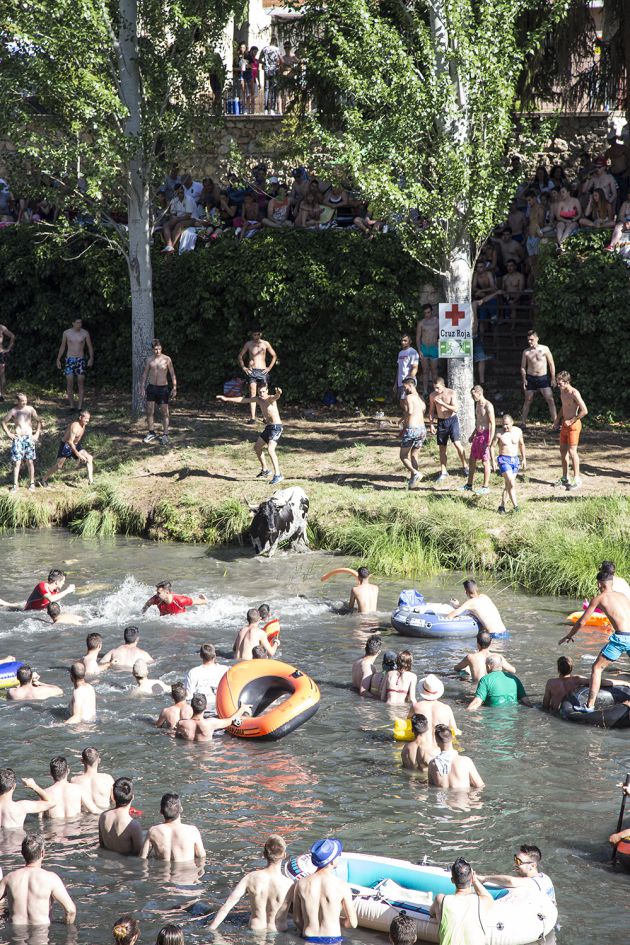 Unas 8.000 personas participan en la fiesta "vacas por el Tajo" celebrada este fin de semana en la localidad de Trillo (Guadalajara): 8.000 personas en las "vacas por el Tajo" de Trillo Unas 8.000 personas participan en la fiesta "vacas por el Tajo" celebrada este fin de semana en la localidad de Trillo (Guadalajara): 8.000 personas en las "vacas por el Tajo" de Trillo