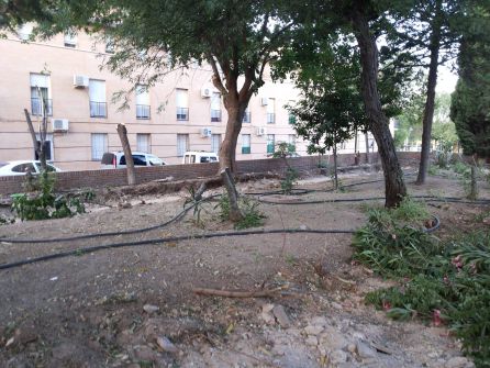 Actuación del Ayuntamiento en el parque de la Avda. de Andalucía Actuación del Ayuntamiento en el parque de la Avda. de Andalucía