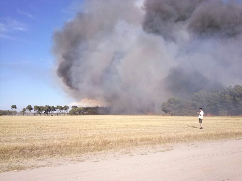 Un vecino de Ayllón detenido por un incendio en Almería Un vecino de Ayllón detenido por un incendio en Almería