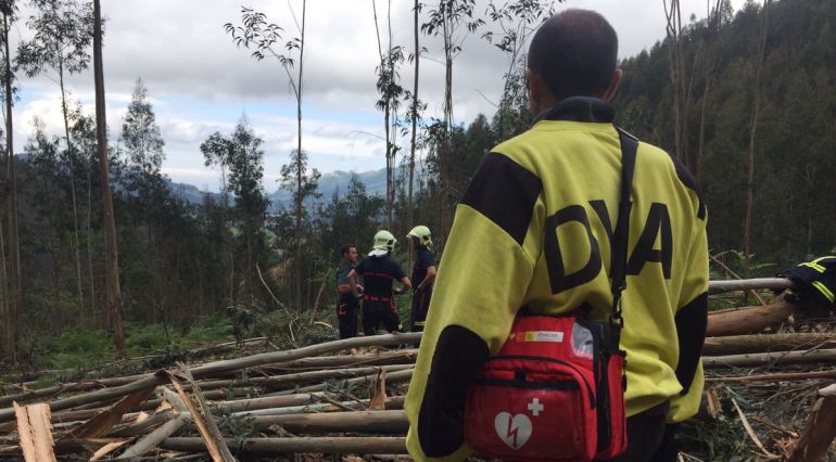 Los servicios de emergencias acudieron al lugar del accidente. Los servicios de emergencias acudieron al lugar del accidente.
