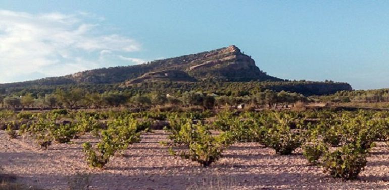 Se suspende la búsqueda en el Monte Arabí Se suspende la búsqueda en el Monte Arabí