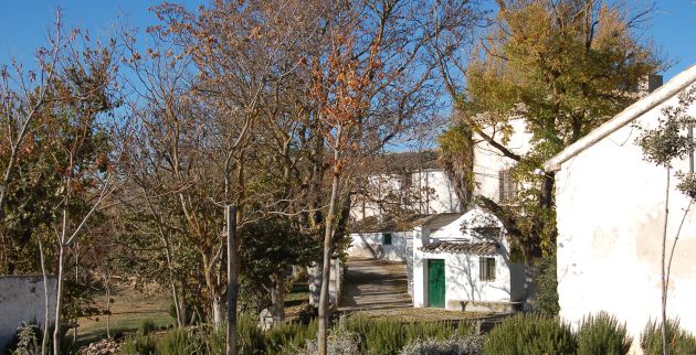 Cortijo de Torrebuceit. Cortijo de Torrebuceit.
