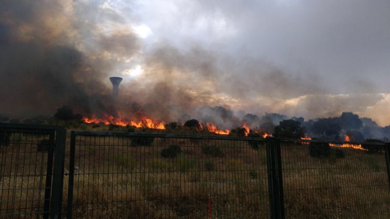 Incendio en el pantano de El Vicario Incendio en el pantano de El Vicario