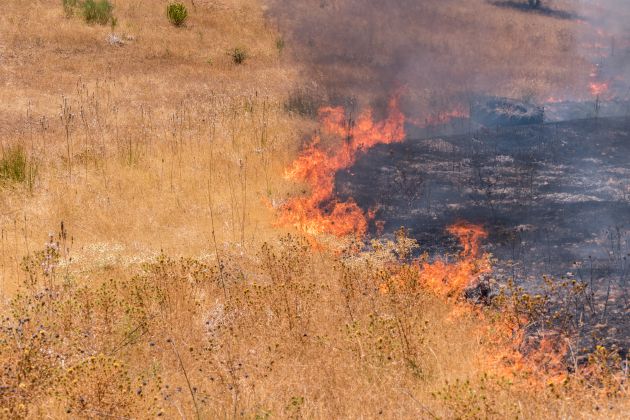 El fuego arrasa más de 500 hectáreas entre la barriada de Llera y Las Vaguadas El fuego arrasa más de 500 hectáreas entre la barriada de Llera y Las Vaguadas
