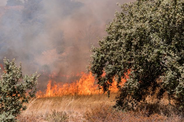 El fuego arrasa más de 500 hectáreas entre la barriada de Llera y Las Vaguadas El fuego arrasa más de 500 hectáreas entre la barriada de Llera y Las Vaguadas