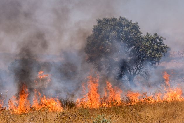 El fuego arrasa más de 500 hectáreas entre la barriada de Llera y Las Vaguadas El fuego arrasa más de 500 hectáreas entre la barriada de Llera y Las Vaguadas