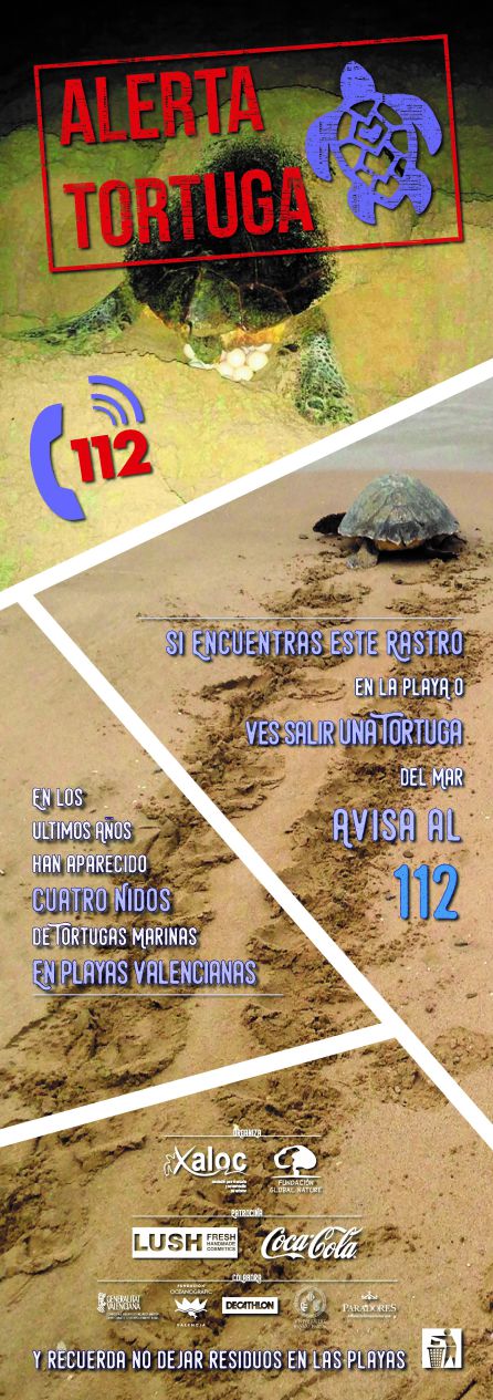 Comieza la 'Alerta Tortuga 2017' Comieza la 'Alerta Tortuga 2017'