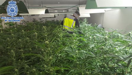 Operación antidroga con un centenar de detenidos. La operación Deseo fue iniciada por agentes de la Comisaría Provincial de la Policía Nacional en Lugo, con la colaboración de las comisarías de la Policía Nacional de Santiago de Compostela, Pontevedra y Marbella, y con la Guardia Civil de Lalín: Operación antidroga con un centenar de detenidos Operación antidroga con un centenar de detenidos. La operación Deseo fue iniciada por agentes de la Comisaría Provincial de la Policía Nacional en Lugo, con la colaboración de las comisarías de la Policía Nacional de Santiago de Compostela, Pontevedra y Marbella, y con la Guardia Civil de Lalín: Operación antidroga con un centenar de detenidos