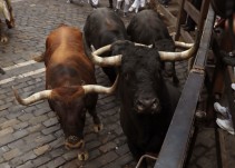 ¿Se deben financiar con dinero público los festejos taurinos?