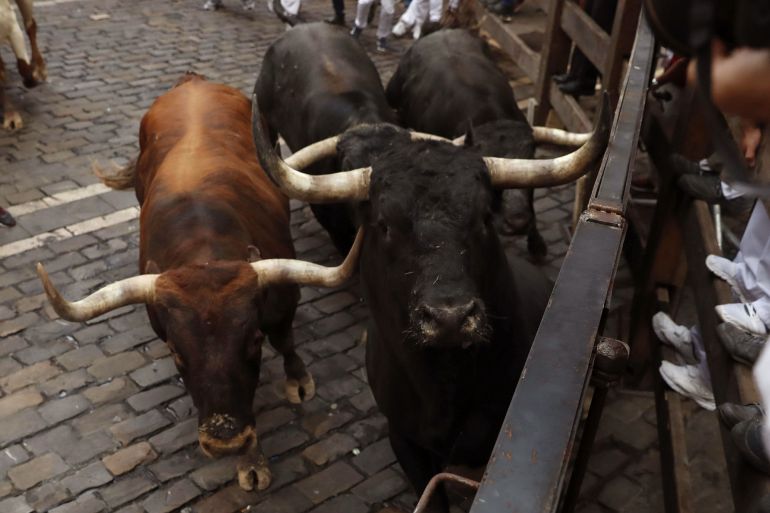 Astados de la ganadería de Miura, de Lora del Río (Sevilla), a su paso por la curva de Mercaderes en el último encierro de los Sanfermines 2017 Astados de la ganadería de Miura, de Lora del Río (Sevilla), a su paso por la curva de Mercaderes en el último encierro de los Sanfermines 2017