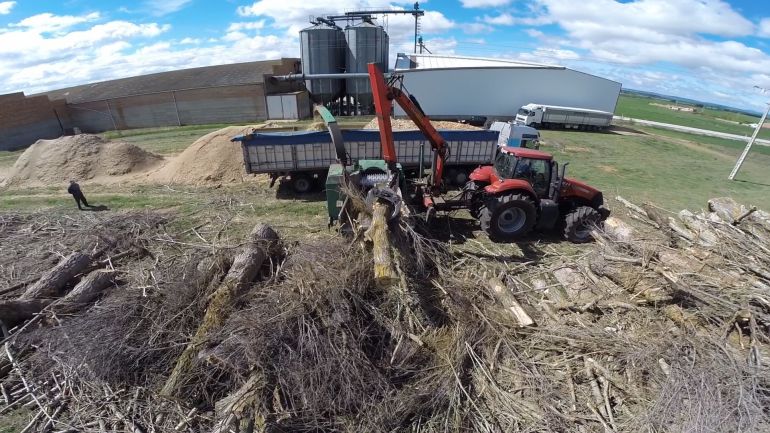 Astilladora en funcionamiento en la planta de Soria Astilladora en funcionamiento en la planta de Soria