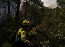 El incendio de Yeste podría ser provocado