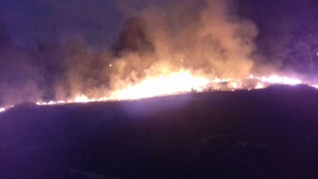 Espectaculares imágenes del incendio de maleza en la capital Espectaculares imágenes del incendio de maleza en la capital
