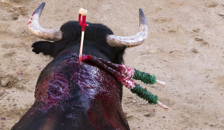 IU Hoyo de Manzanares contra la financiación pública de los toros IU Hoyo de Manzanares contra la financiación pública de los toros