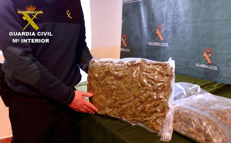 Dos detenidos en Santa Cruz de Mudela por cultivar marihuana Dos detenidos en Santa Cruz de Mudela por cultivar marihuana