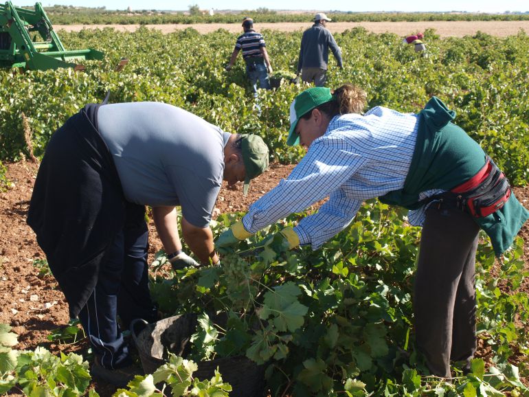 Castilla-La Mancha podrá retirar vino para destilación en crisis desde este lunes 29 de junio Castilla-La Mancha podrá retirar vino para destilación en crisis desde este lunes 29 de junio