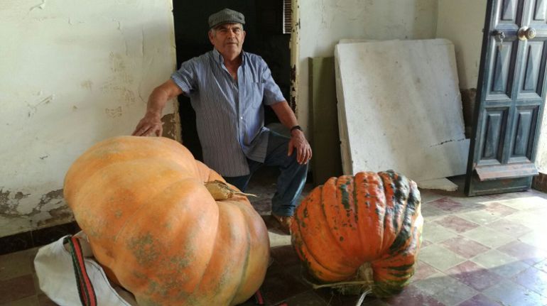 Manuel Rodríguez, agricultor Manuel Rodríguez, agricultor