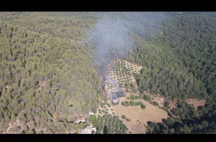 El incendio de Segura fue provocado con piras "de papel higiénico" El incendio de Segura fue provocado con piras "de papel higiénico"