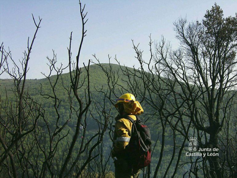 Noticias Ávila: El incendio de Gredos baja a nivel 0 Noticias Ávila: El incendio de Gredos baja a nivel 0