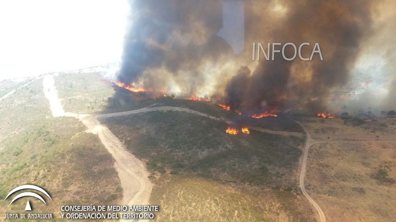 sevilla incendio forestal infoca: Declarado un incendio en Castillo de las Guardas sevilla incendio forestal infoca: Declarado un incendio en Castillo de las Guardas
