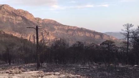 Junto a los focos que originaron el incendio de Segura se encontraron objetos que podrían delatar al autor Junto a los focos que originaron el incendio de Segura se encontraron objetos que podrían delatar al autor