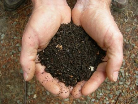 Amics de la Terra pide soluciones reales Amics de la Terra pide soluciones reales